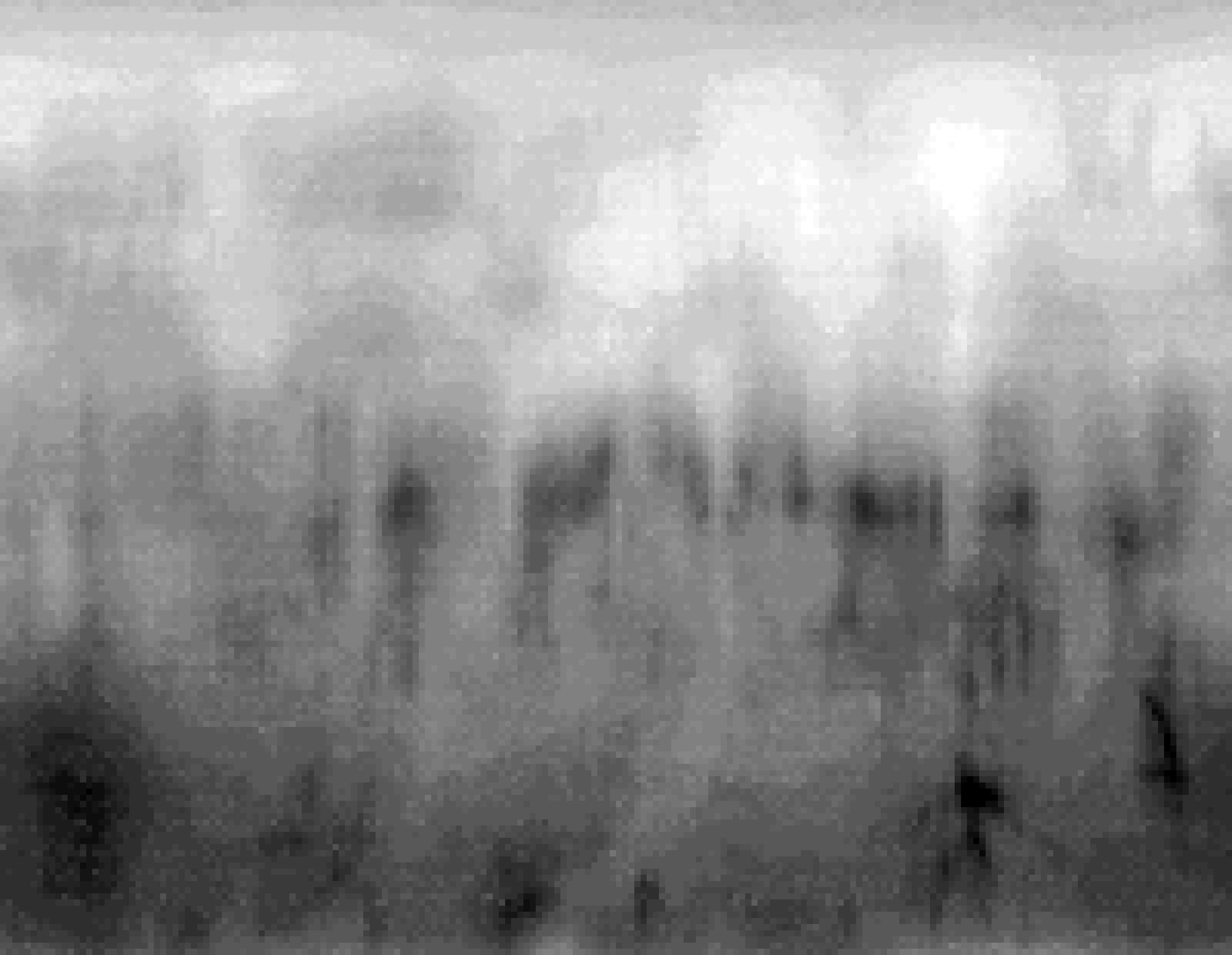dl01-031-drehscan
