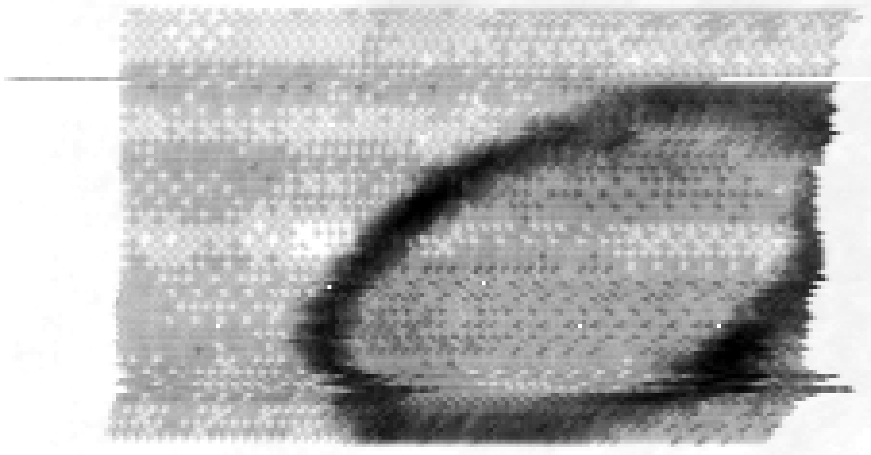 dl01-033-pointscan