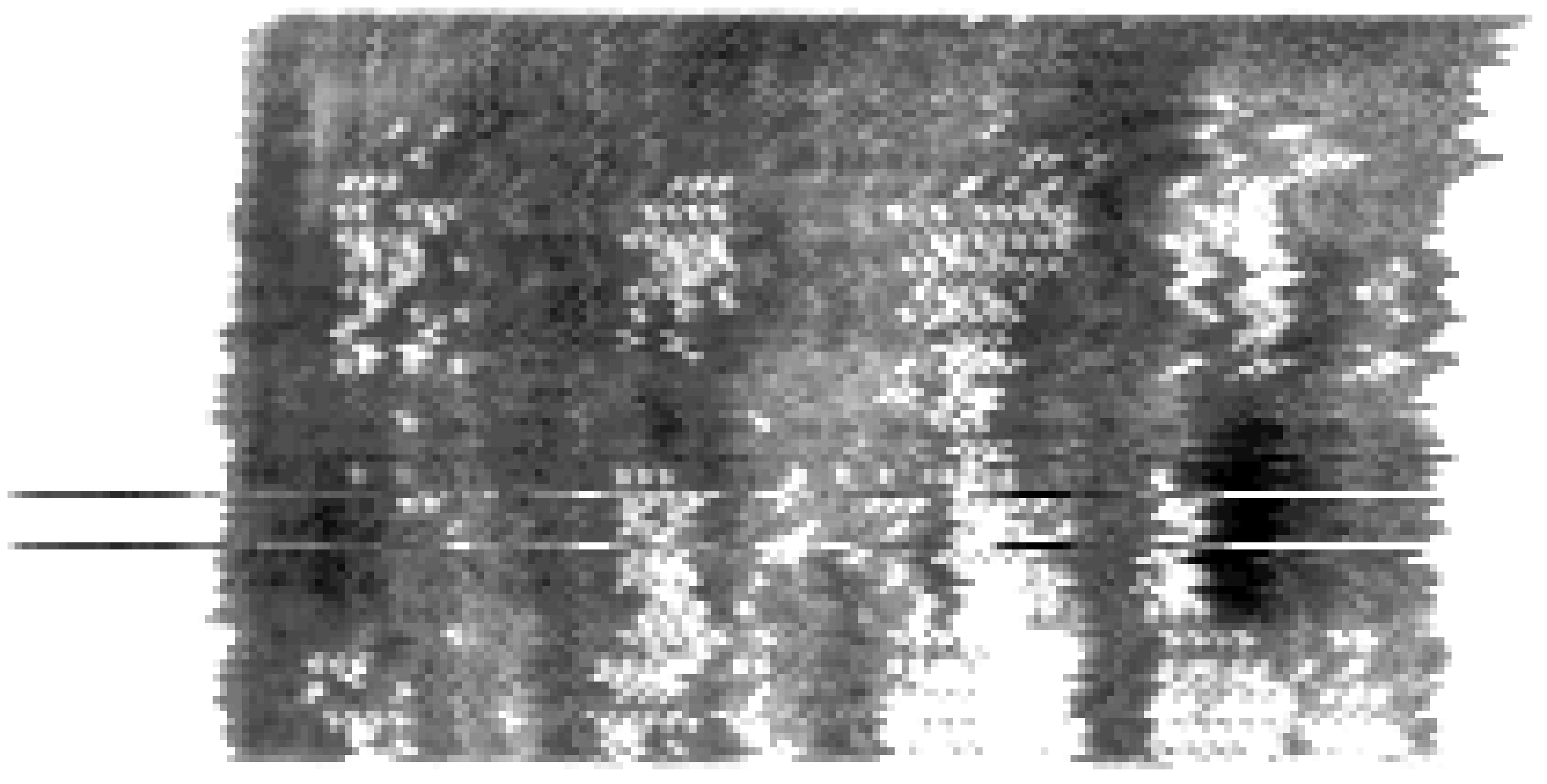 dl01-001-pointscan2