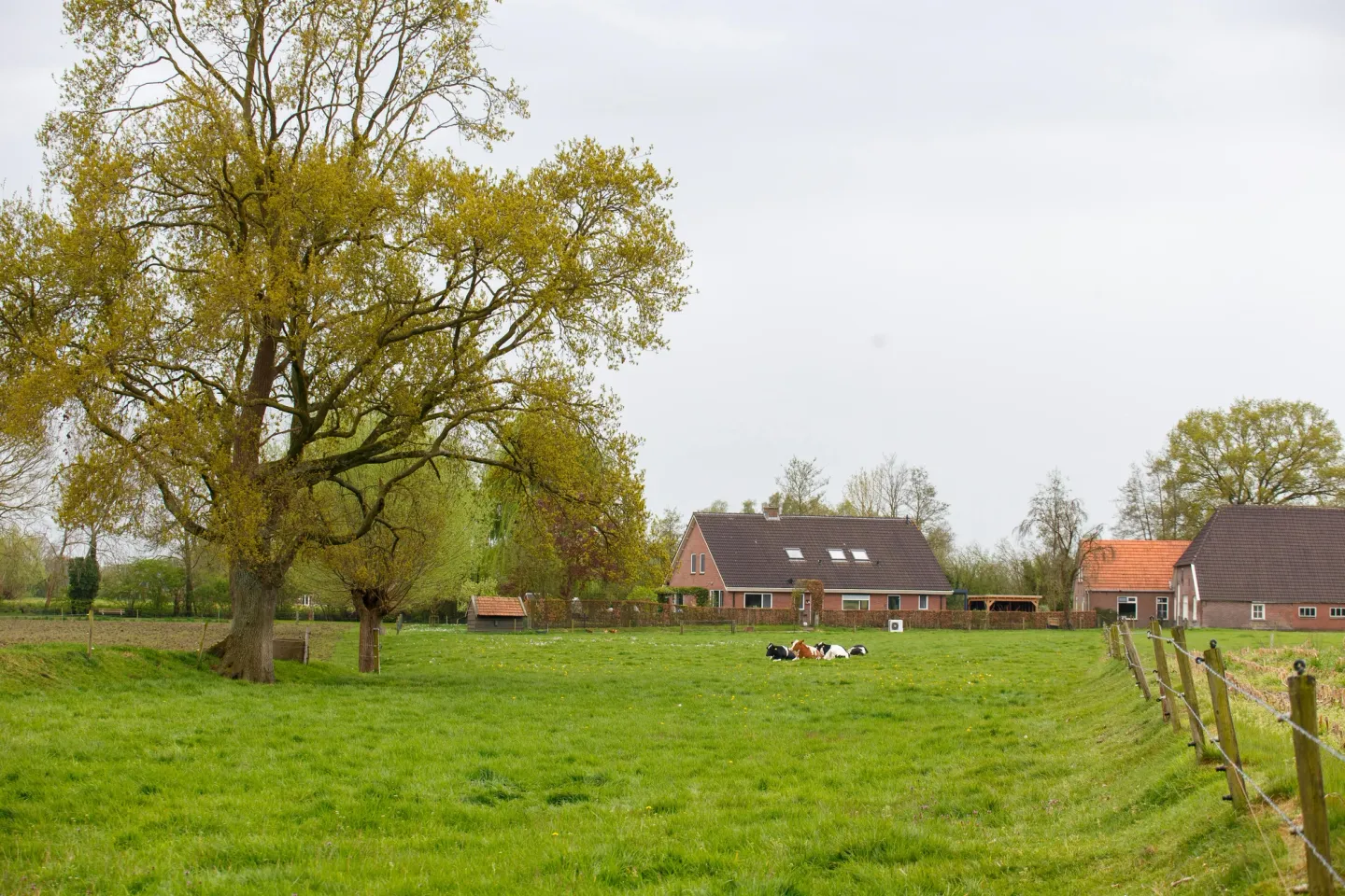Inbox Storage in Dieren — picked up at your door