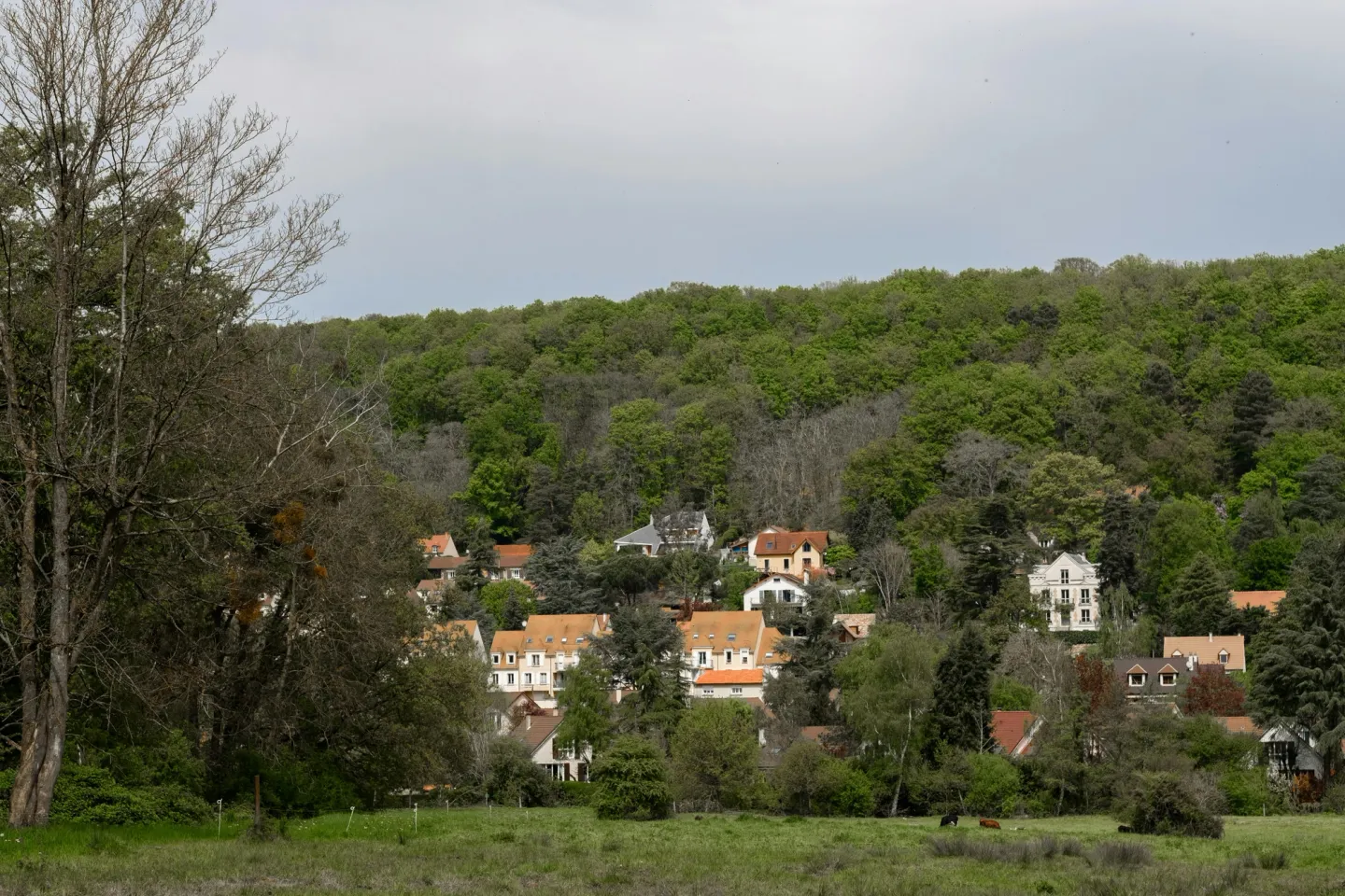 Inbox Storage in Luxembourg — picked up at your door
