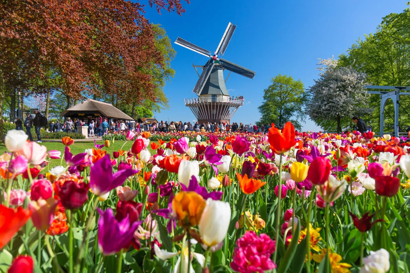 Opslagruimte huren in Haarlemmermeer — Inbox Storage haalt je spullen thuis op