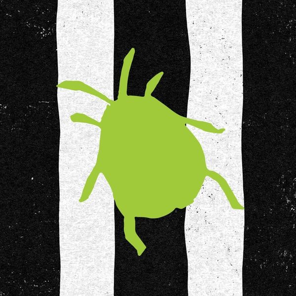 Beetlejuice The Musical