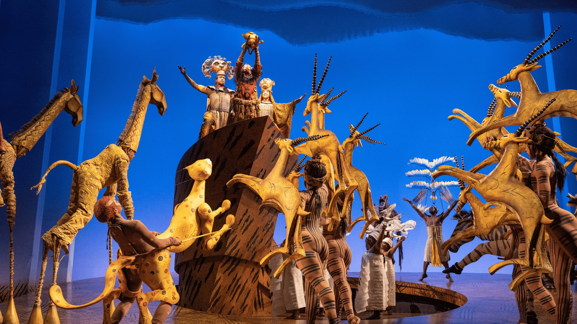 The Lion King On Stage