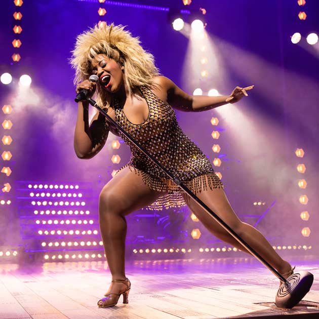Tina The Musical