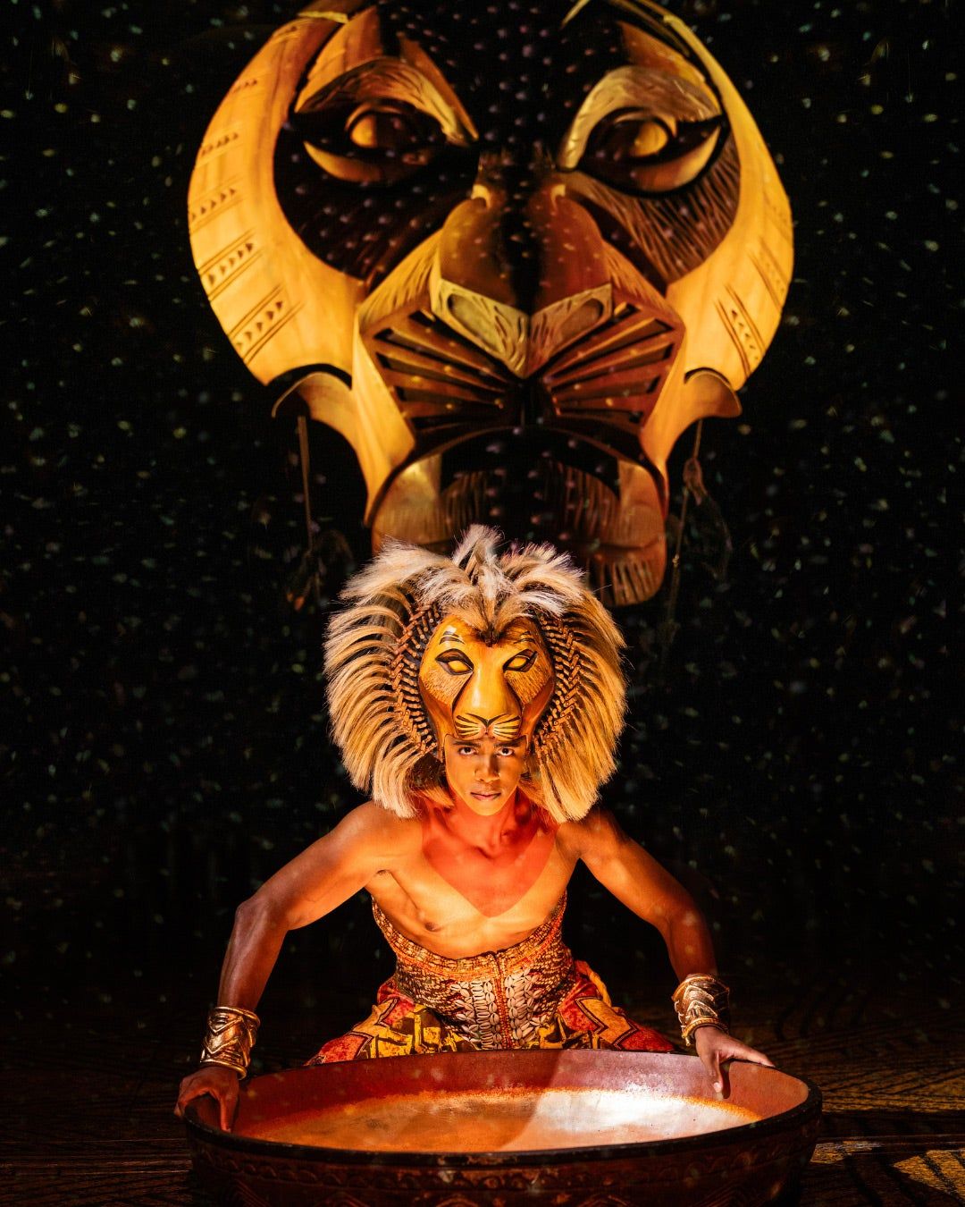 The Lion King Mask