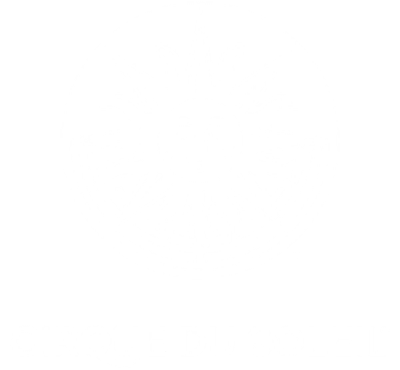 Cirque Du Soleil