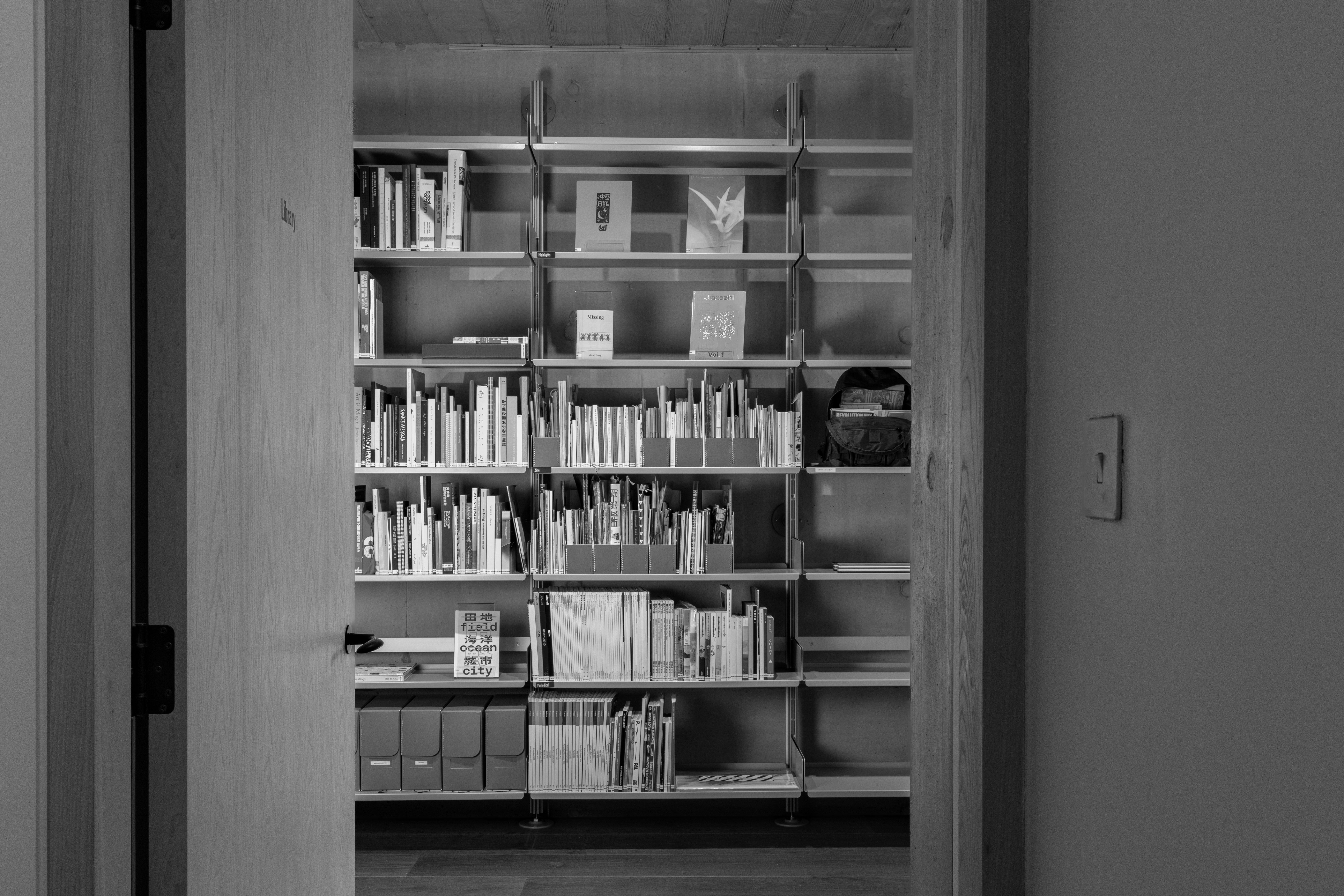 The Sinophone Among Many Worlds