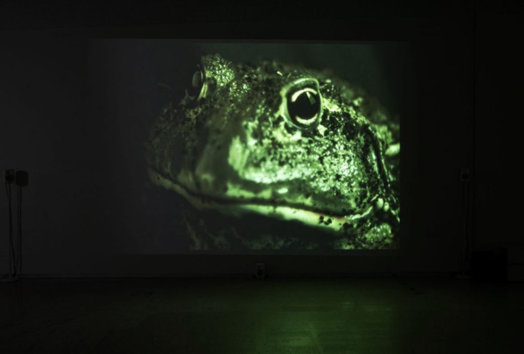 On Parasocial Media: The Shoggoth and the Skeuomorph