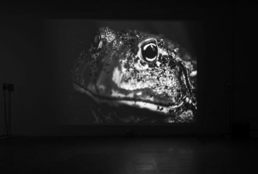 On Parasocial Media: The Shoggoth and the Skeuomorph