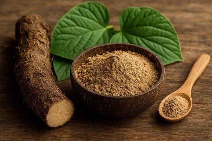 Kava Kava bitkisi