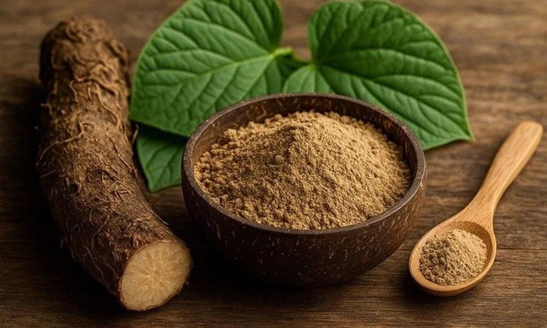 Kava Kava bitkisi