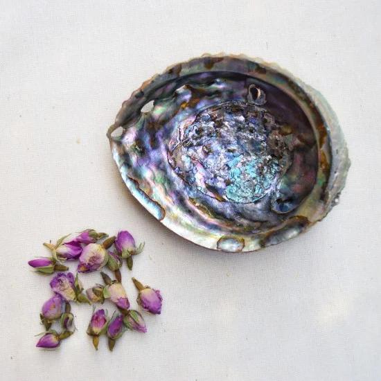 Abalone Kabuk kullanım örnekleri