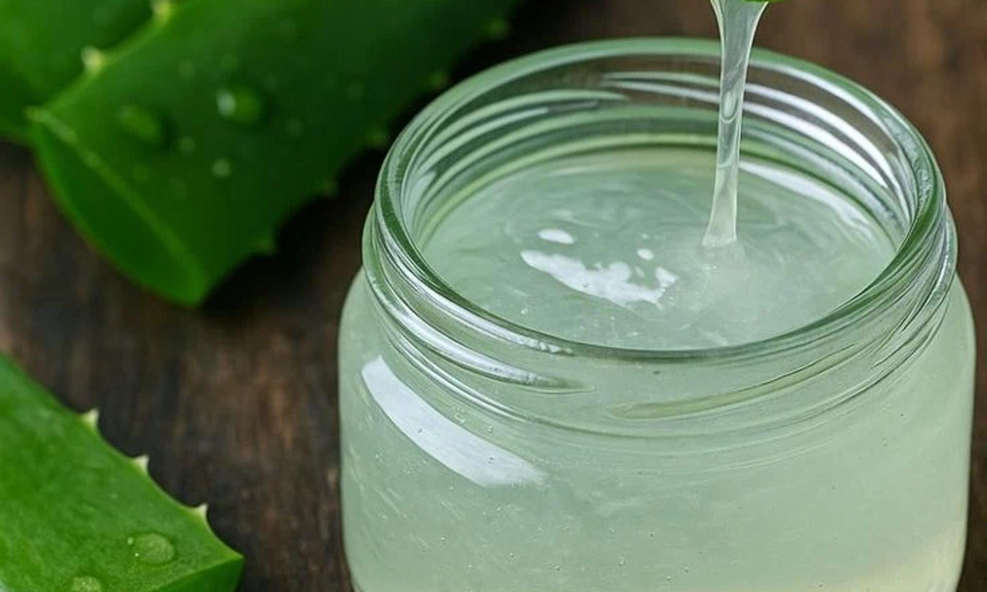 Aloe Vera bitkisi