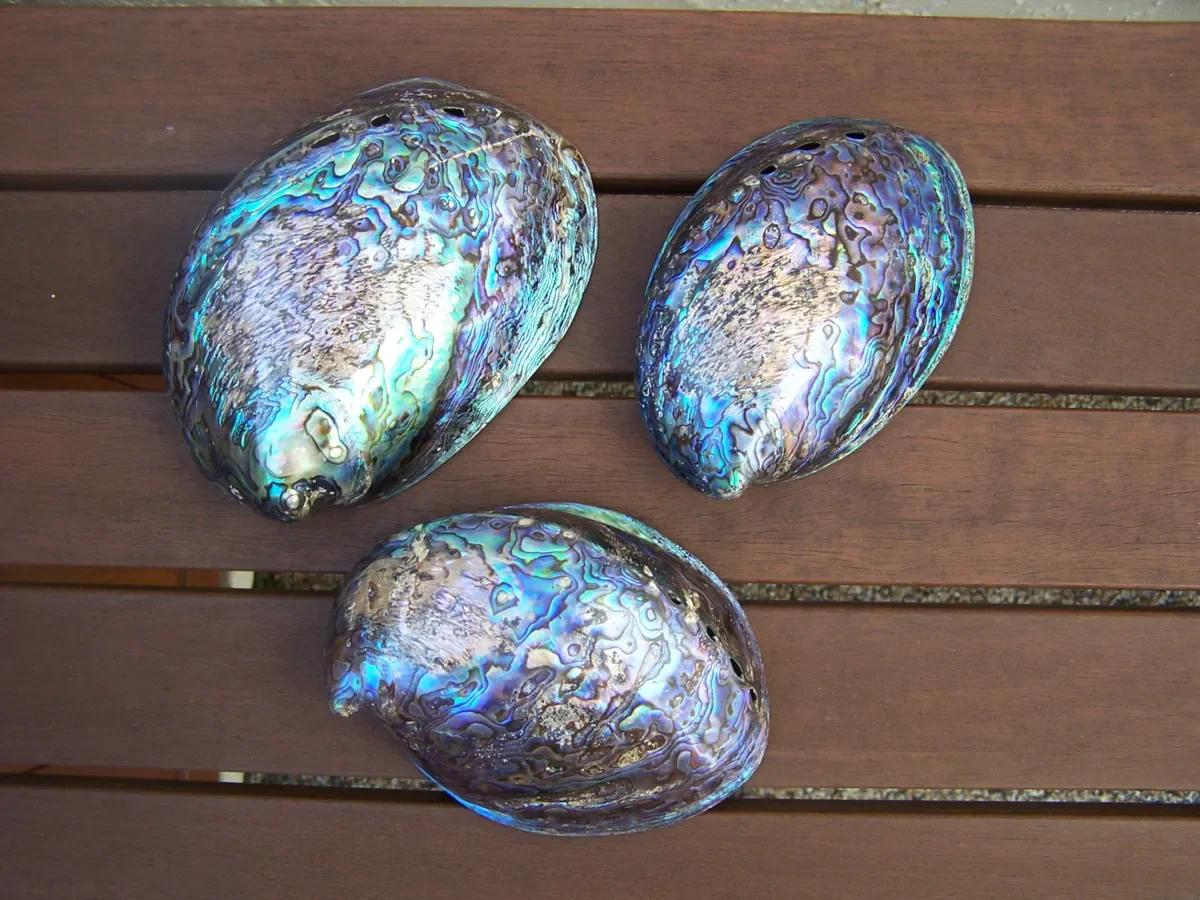 Abalone Kabuk kristal oluşumu