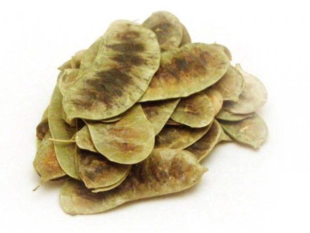 Sinameki bitkisi