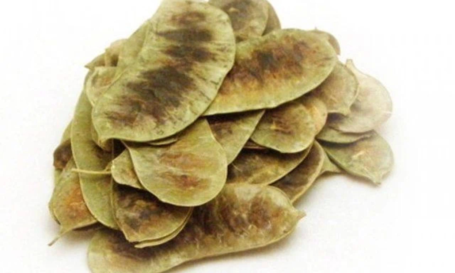 Sinameki bitkisi