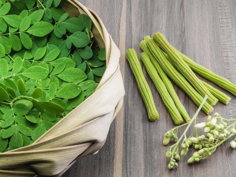 Moringa bitkisi
