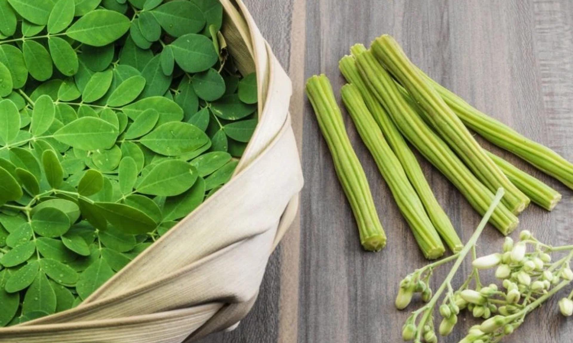 Moringa bitkisi