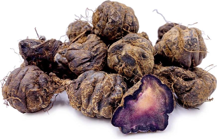 Maca Kökü
