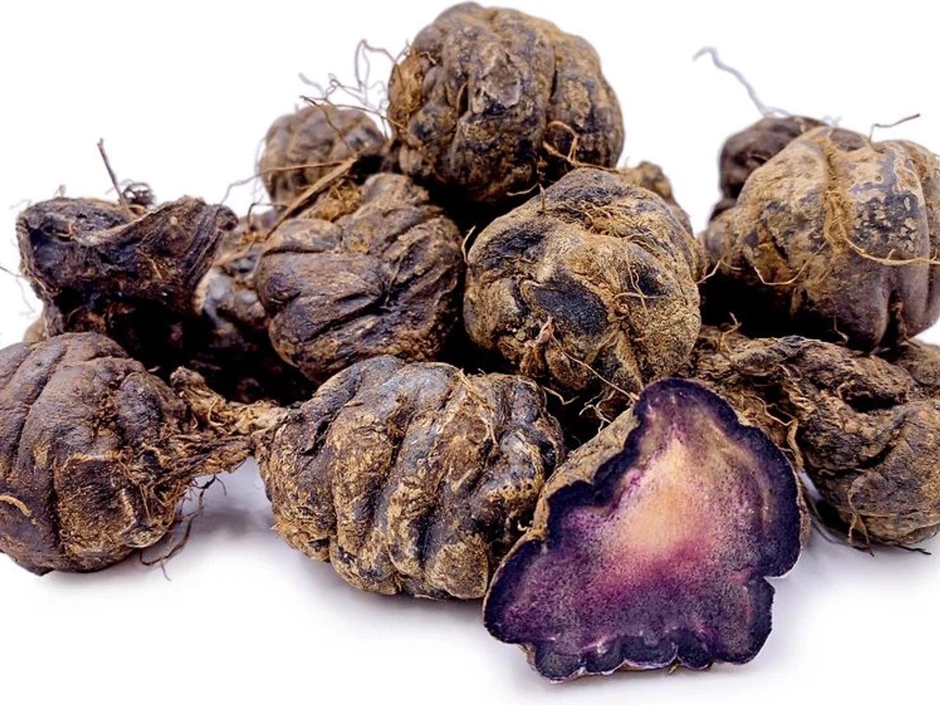 Maca Kökü