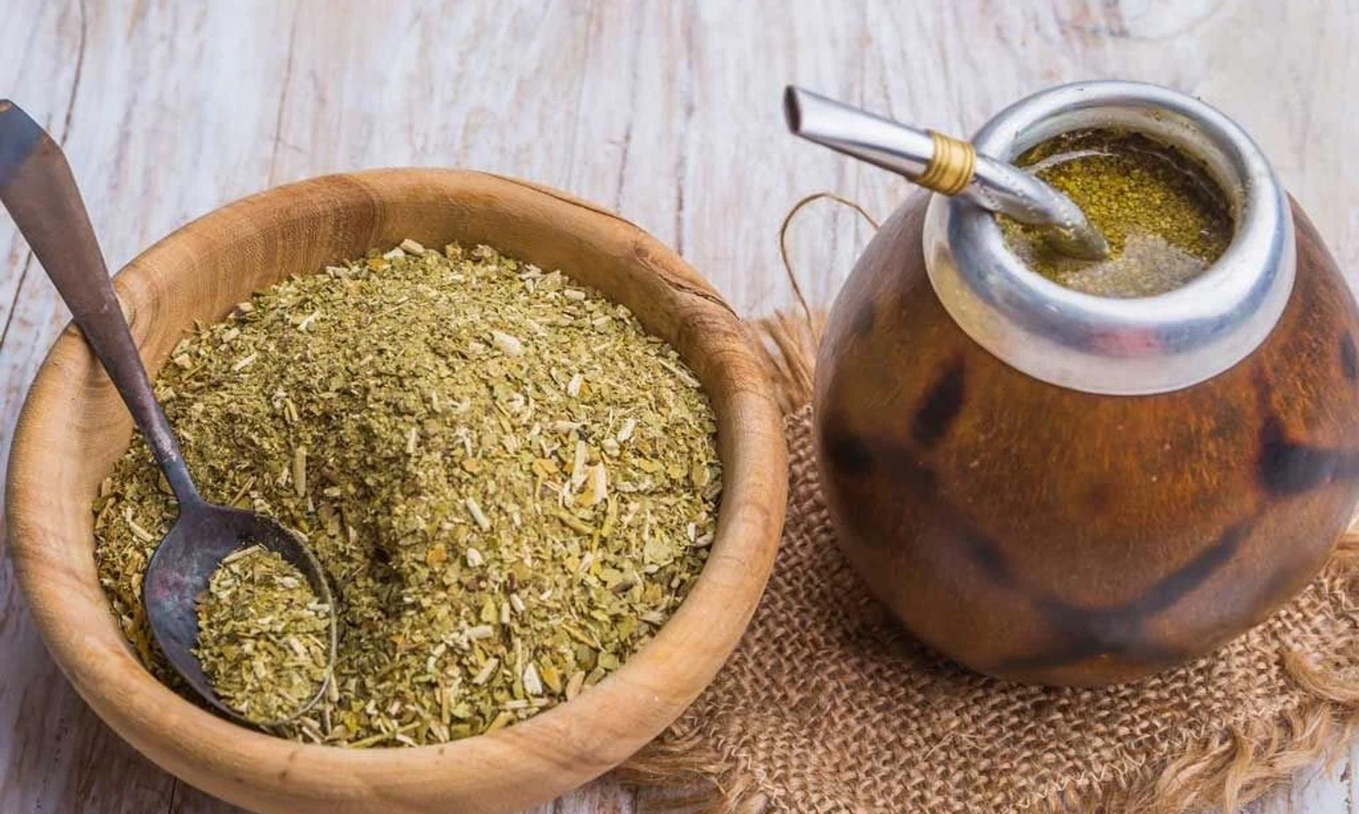 Mate Çayı bitkisi