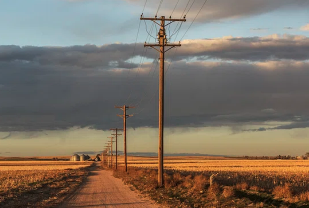 Telephone poles