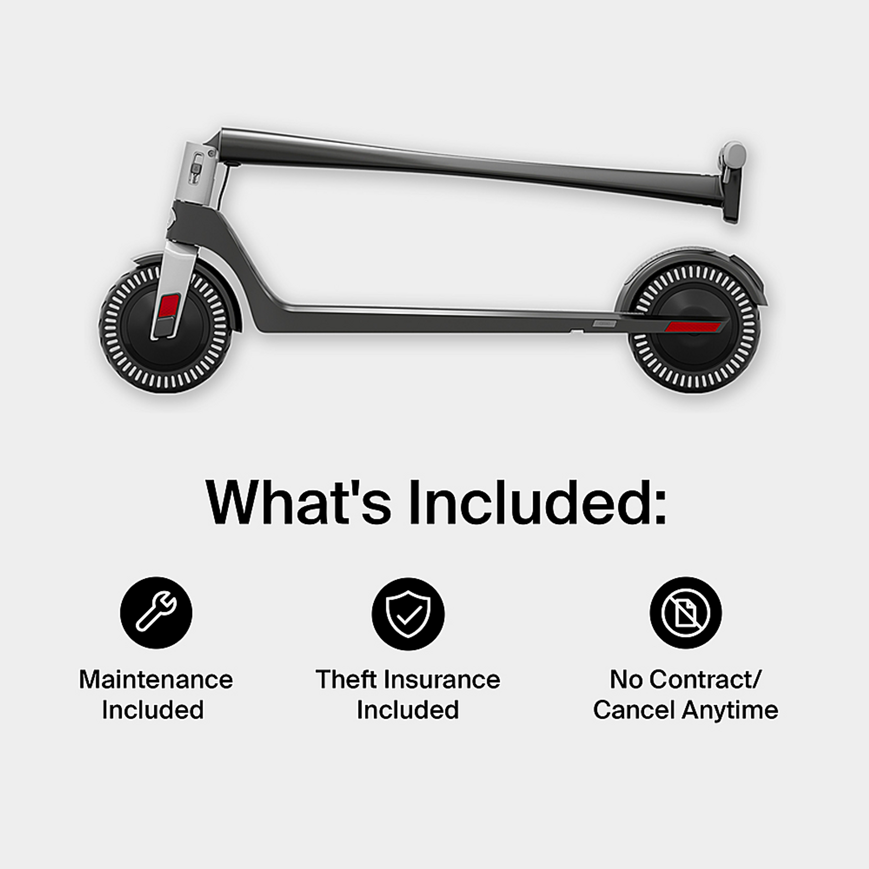 Discover the Allure of Unagi AllAccess Subscription