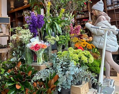 Chicago’s North Side: 5 Wellness-Inspired Stops in the Windy City