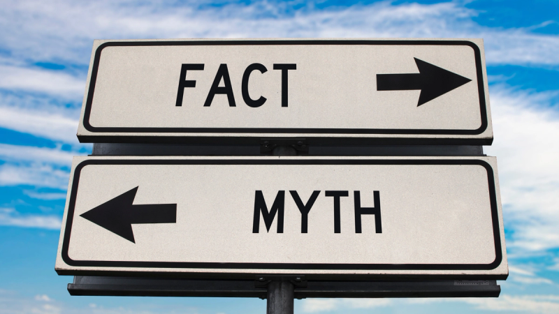 Debunking Myths: Are Electric Scooters Truly Green?