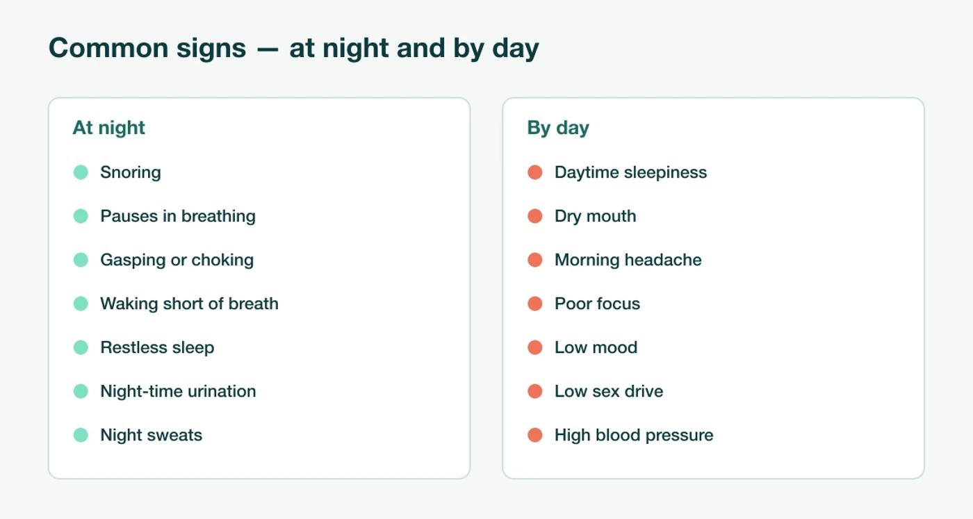 Checklist graphic with two columns: night-time signs (snoring, pauses, gasping, waking short of breath, restless sleep, night-time urination, night sweats) and daytime signs (sleepiness, dry mouth, morning headache, poor focus, low mood, low sex drive, high blood pressure)