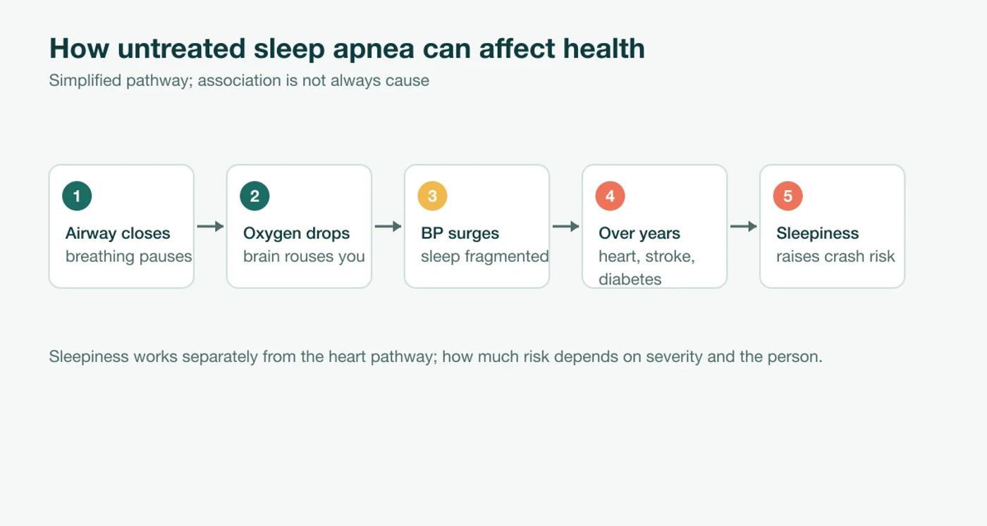 Diagram: the airway closes, oxygen drops and the brain rouses you, blood pressure surges, and over years heart, stroke and diabetes risk rises; sleepiness separately raises crash risk