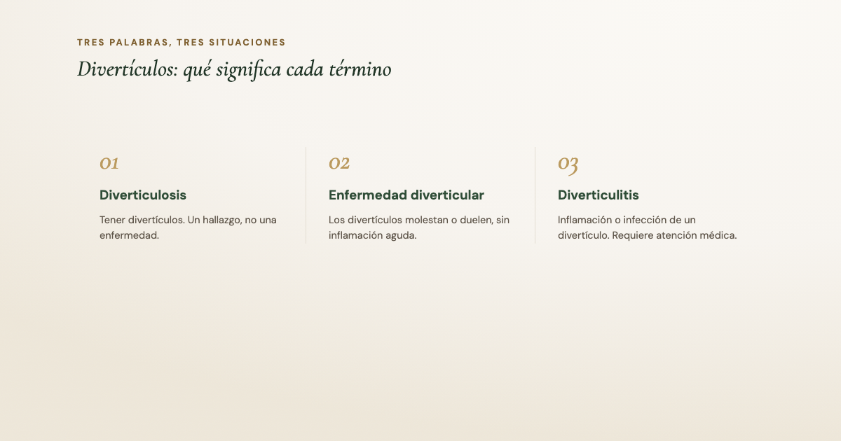 Diferencia entre diverticulosis, enfermedad diverticular y diverticulitis