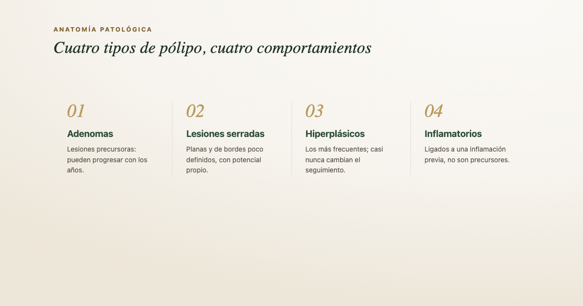 Esquema de los tipos de pólipos que pueden aparecer en una colonoscopia