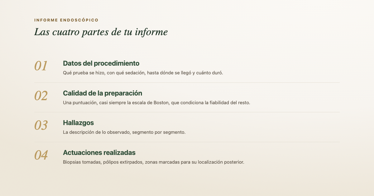 Esquema de las partes de un informe de endoscopia digestiva