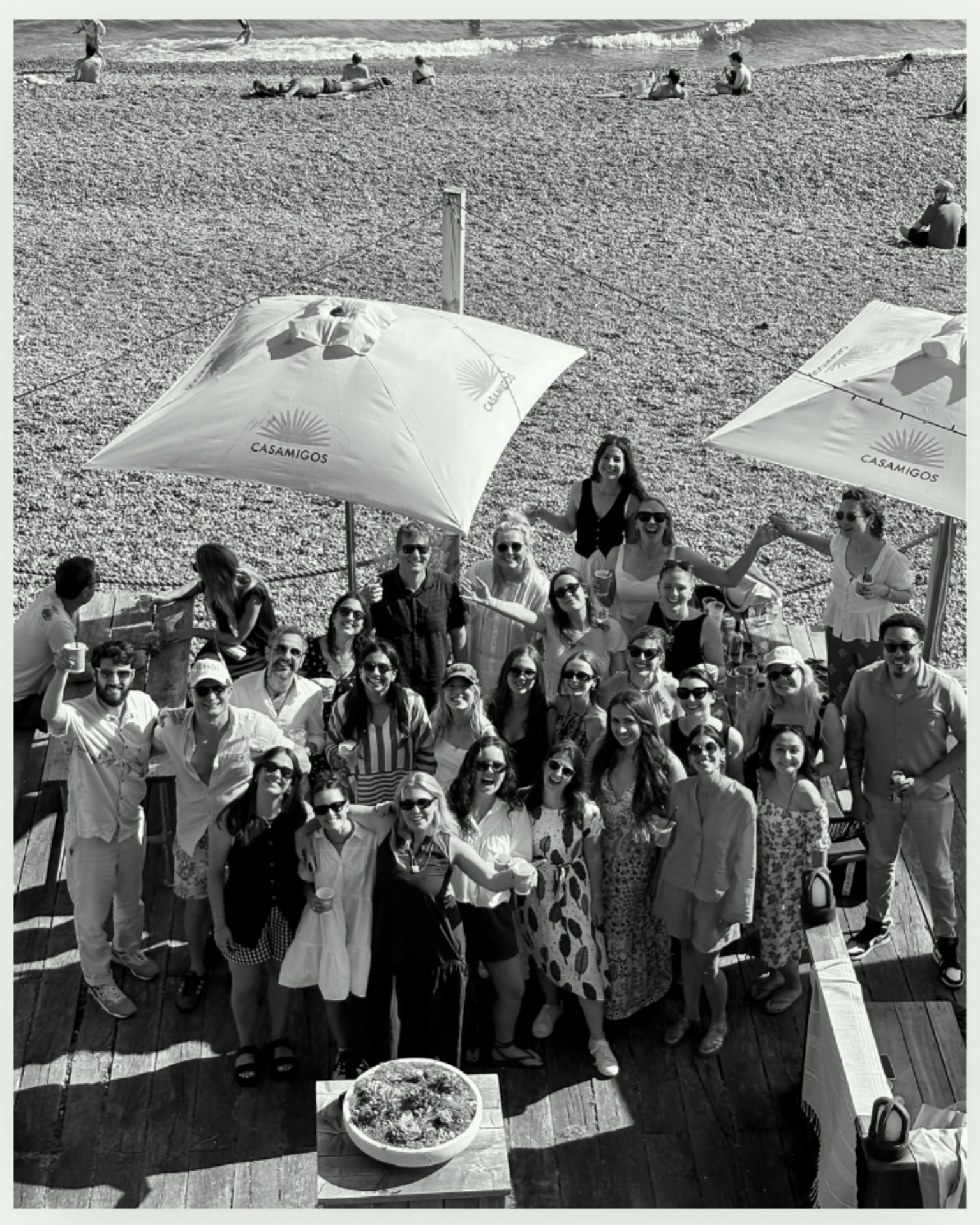An ariel shot of the Elycion team at the 2025 summer social.