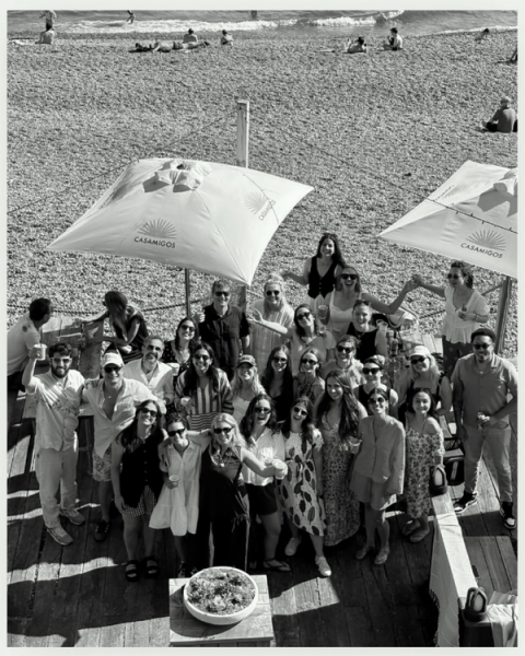 An ariel shot of the Elycion team at the 2025 summer social.