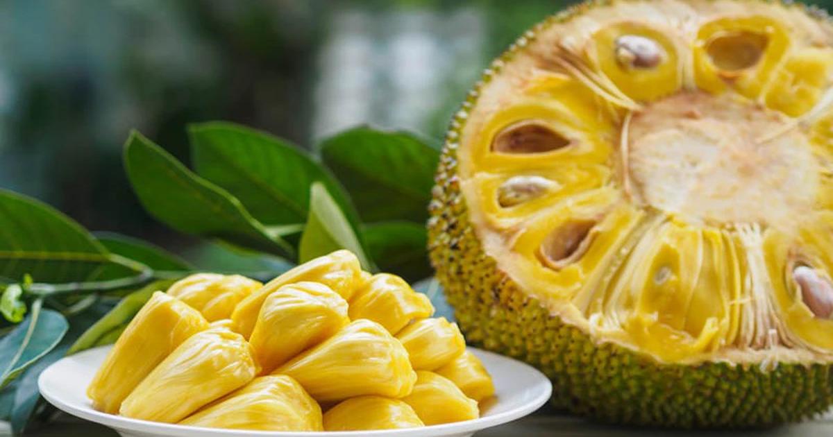 Giá trị dinh dưỡng của quả mít và những lưu ý quan trọng khi tiêu thụ
