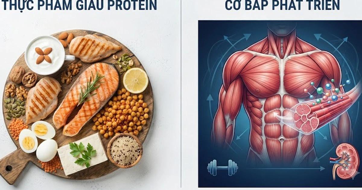 6 tác động quan trọng đối với cơ thể khi tăng cường nạp protein vào chế độ ăn