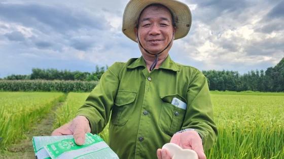 Lão nông 66 tuổi đột phá với mô hình canh tác lúa hữu cơ bằng sữa tươi và trứng gà