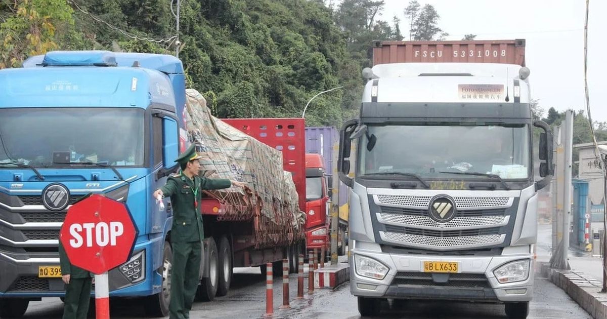 Chính phủ tạm dừng áp dụng Nghị định 46 về an toàn thực phẩm đến hết ngày 15/4/2026
