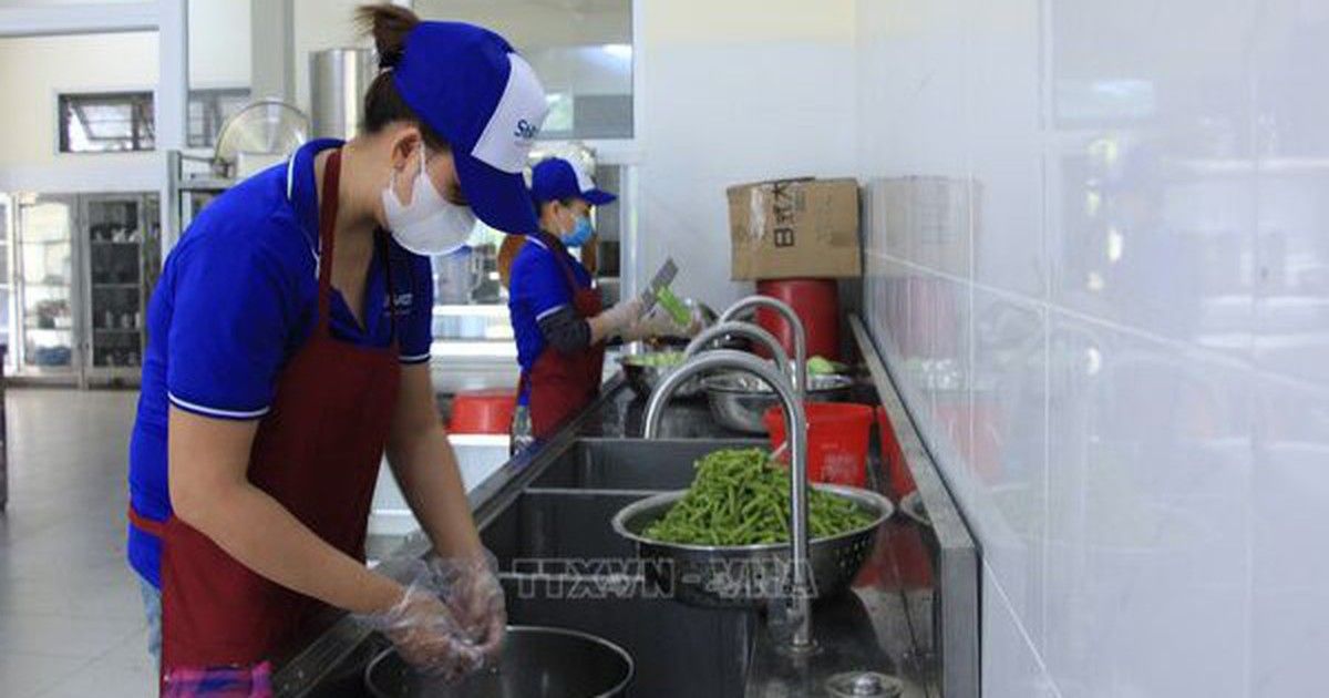 Quy định về khám sức khỏe đối với người sản xuất, kinh doanh thực phẩm