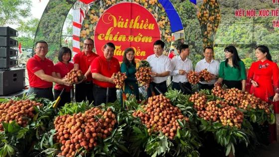 Central Retail đẩy mạnh kết nối và phân phối vải thiều chín sớm Tân Yên