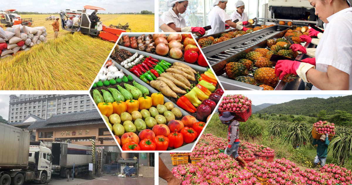 Phê duyệt Đề án thúc đẩy sản xuất và kinh doanh nông sản, thực phẩm an toàn giai đoạn 2026 - 2030