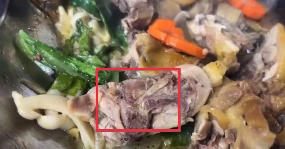 Đình chỉ cơ sở nấu ăn lưu động tại Đắk Lắk sau sự cố thực phẩm nhiễm ấu trùng