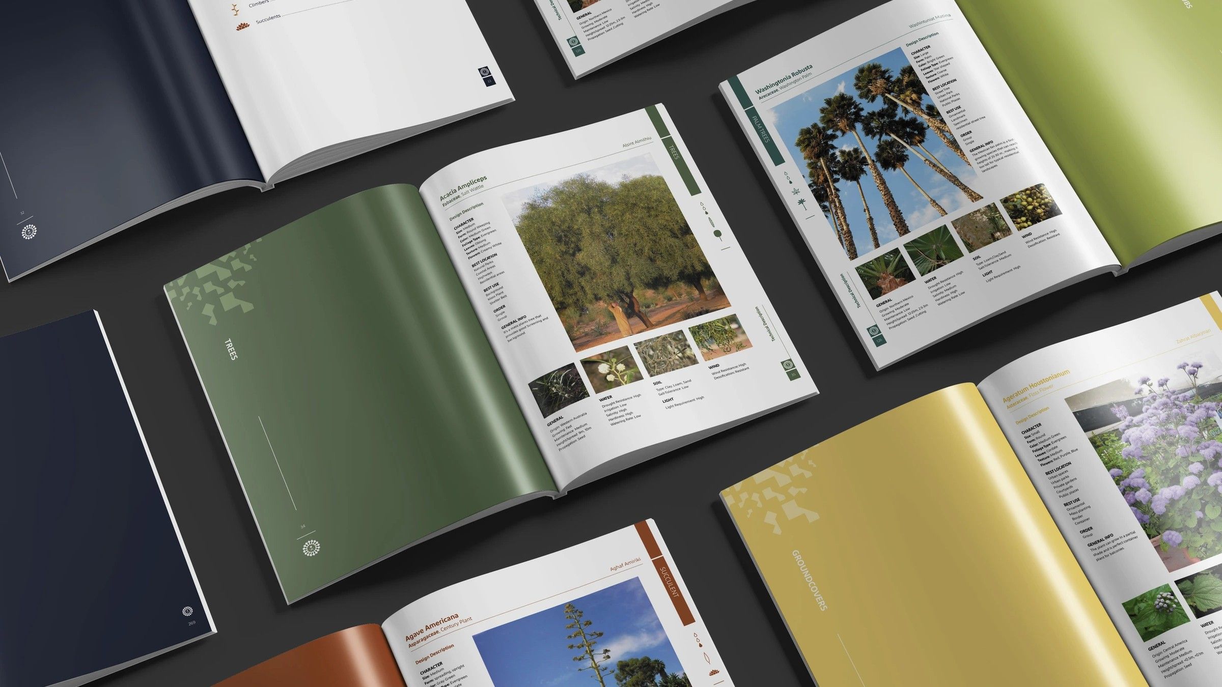 Manual editions