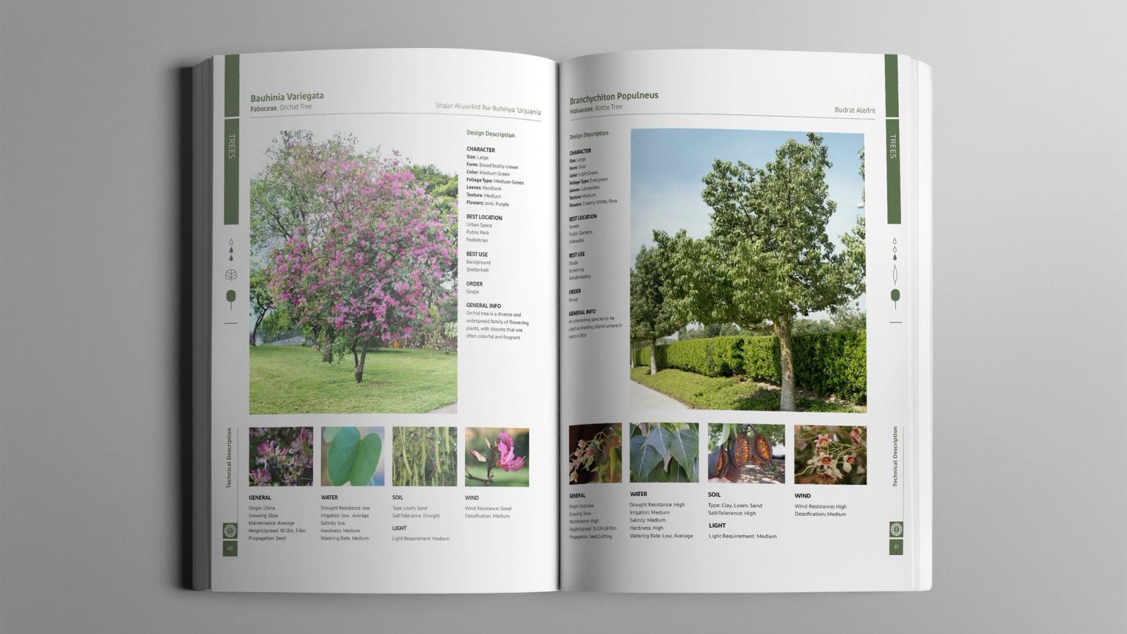 Plant profile spread