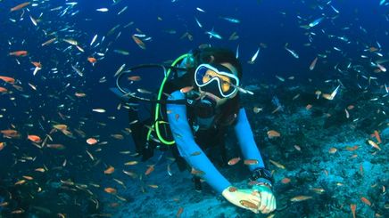 Female Asian scuba diver surrounded by fish underwater.