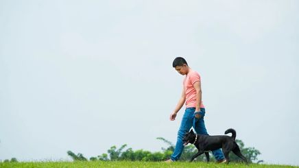 Asian man walking black dog on grass.
