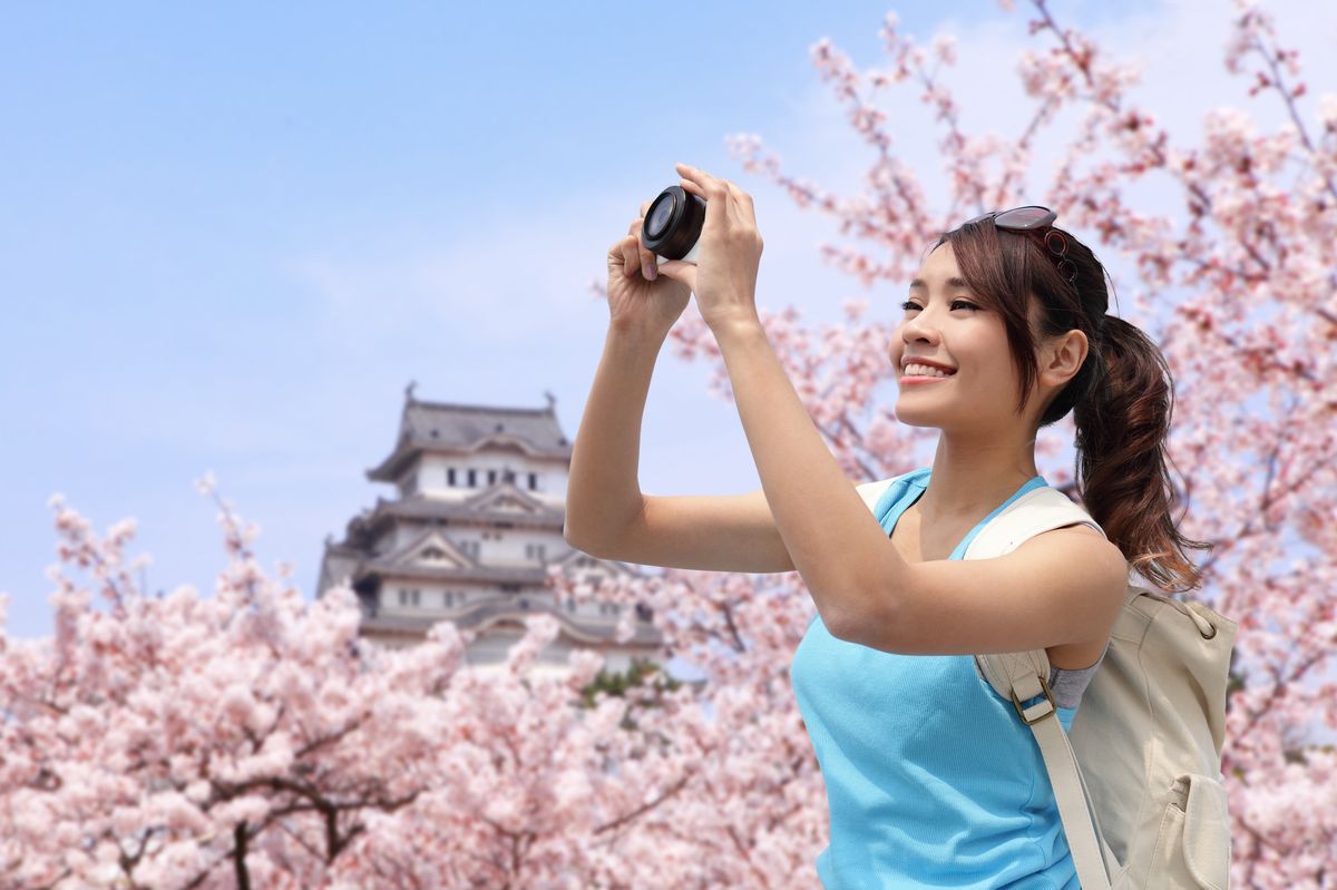Spring travel. Японец с фотоаппаратом. Happy woman with Cherry Blossom. Travel Spring Tones.